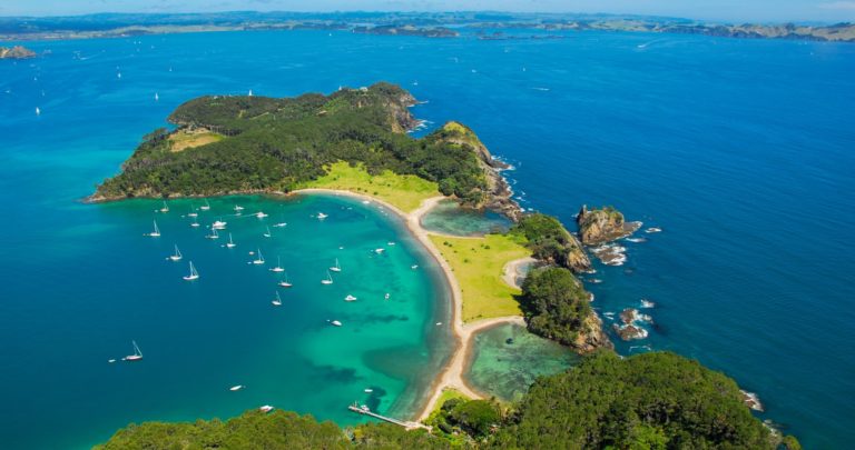 Bay of Islands Snorkelling