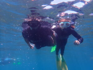 Bay of Islands Snorkelling trips