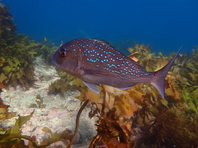 P3120153