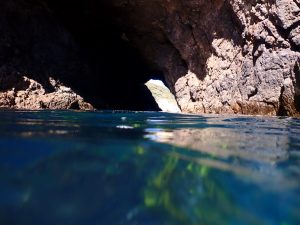 IMG_5437